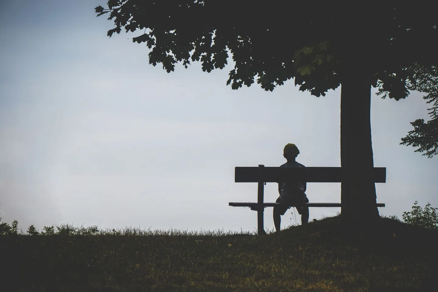 A lone silhouette sitting on a bench under a tree at twilight